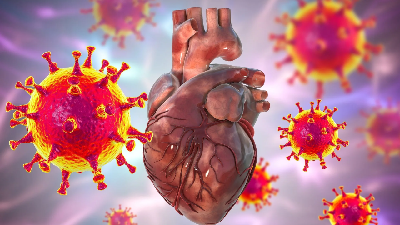 COVID-19 Survivors at Increased Risk of Heart Attack
