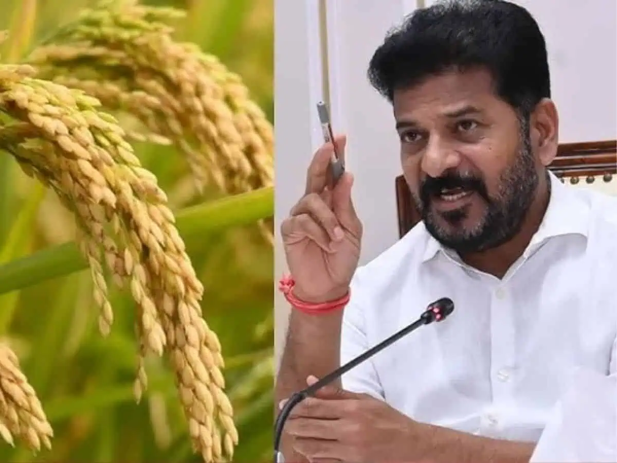 CM Revanth Reddy on Paddy