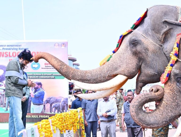 Pawan Kalyan Flags Off Kumki Elephants for Parvathipuram Mission