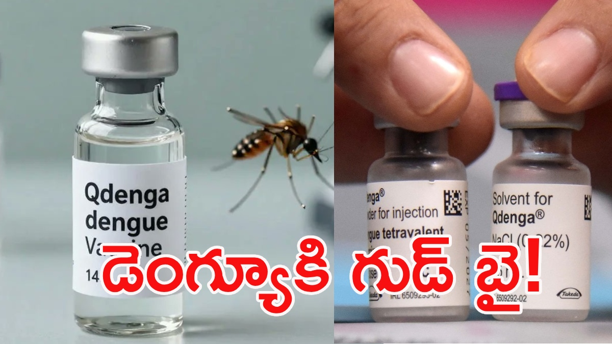 Qdenga: India’s first dengue vaccine gets DCGI nod