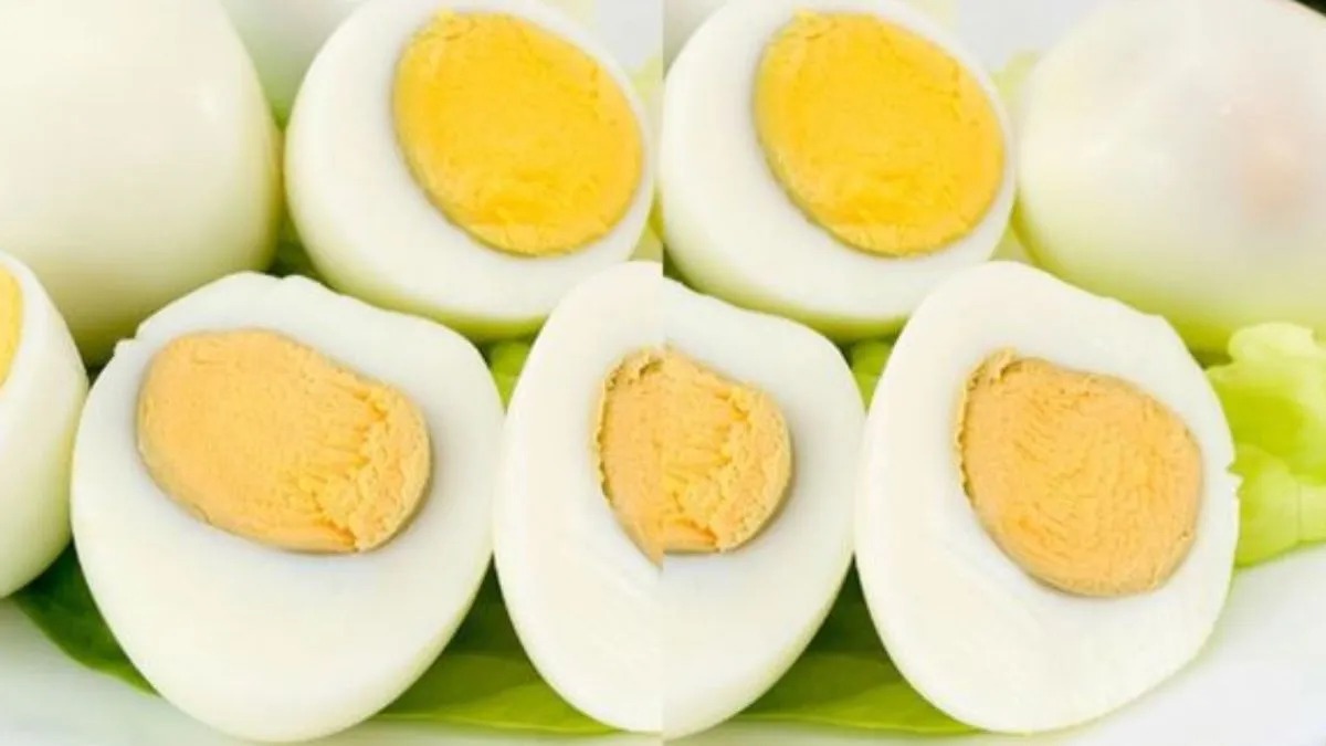 eggsf-66111785316957.jpg