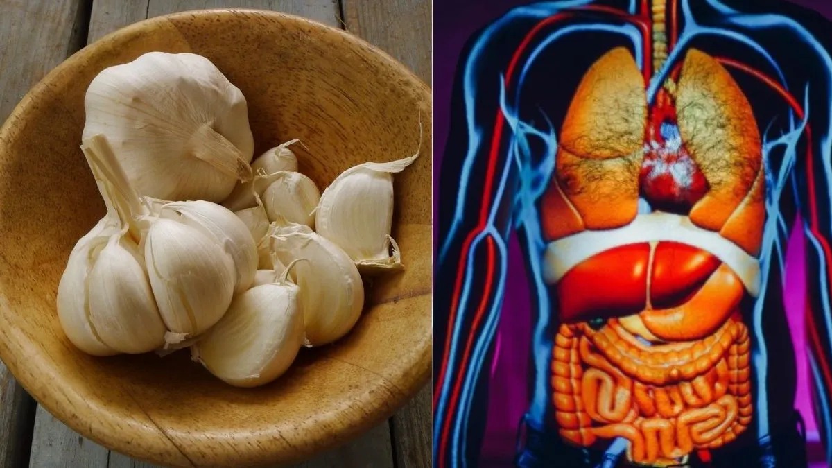Garlic Benefits Heart: Best Natural Cholesterol Remedy garlicf-1782980516.jpg