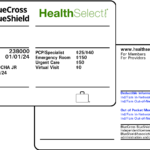 Health IDs: India Reaches Milestone with 900 Million IDs & 1.8 Lakh Centers health-ids-54333