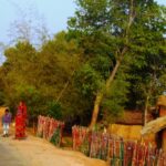 rural india: Beyond Papad and Pickle, Impact Investor Unlocks True Potential rural-india-38922
